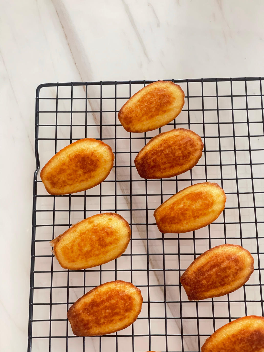 经典原味玛德琳蛋糕