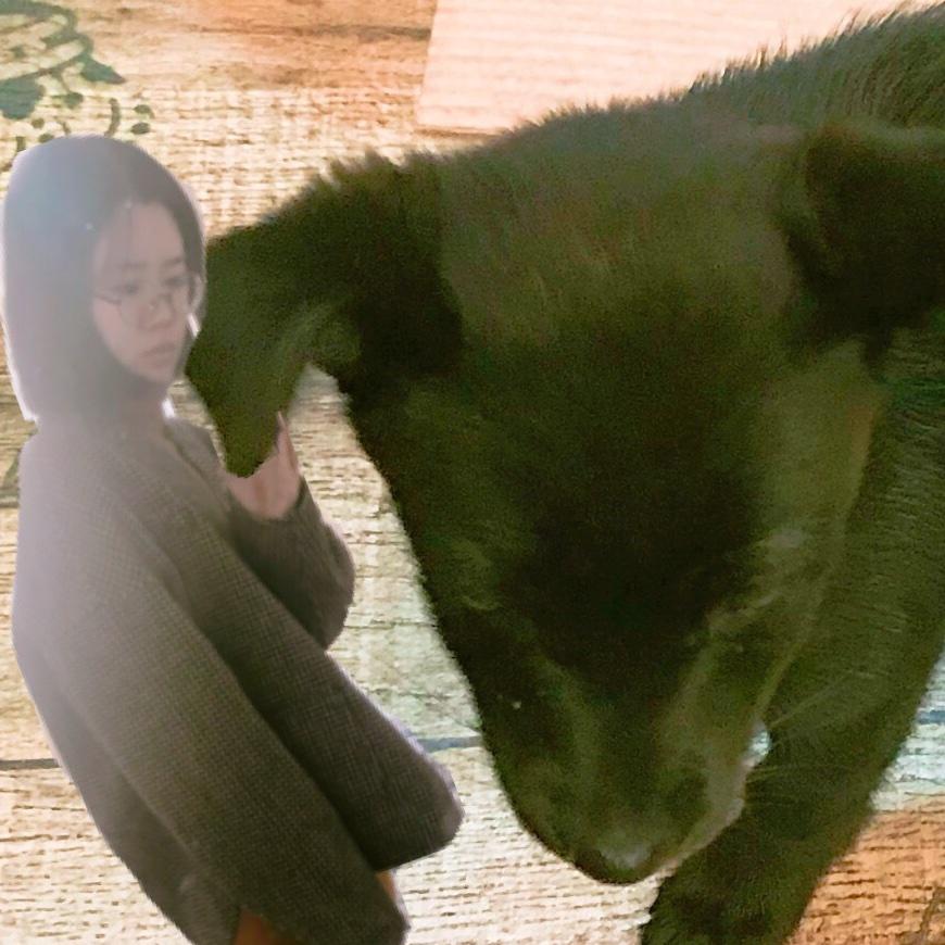 皇后小当家