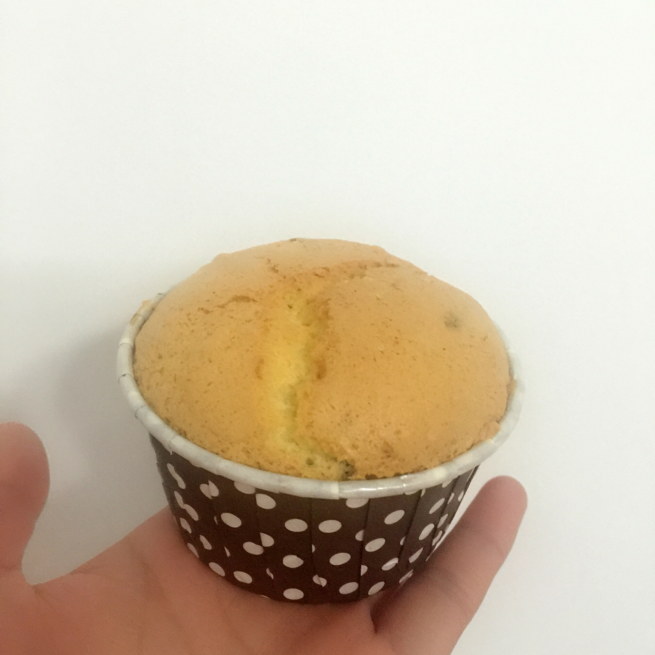 蛋香十足の海绵杯子蛋糕，伴手礼好选择。