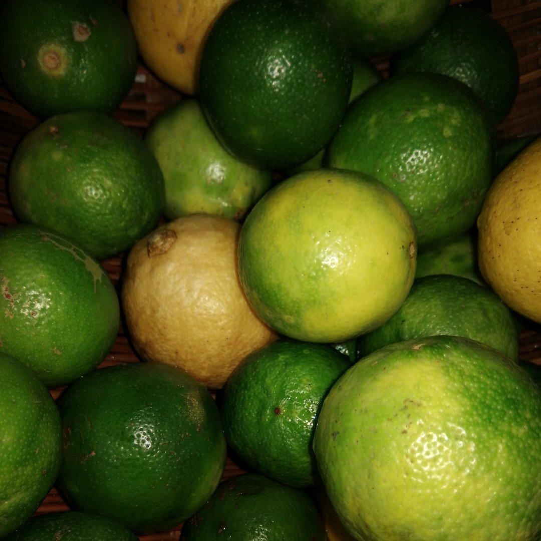 咸柠檬“化痰果”熬夜必备