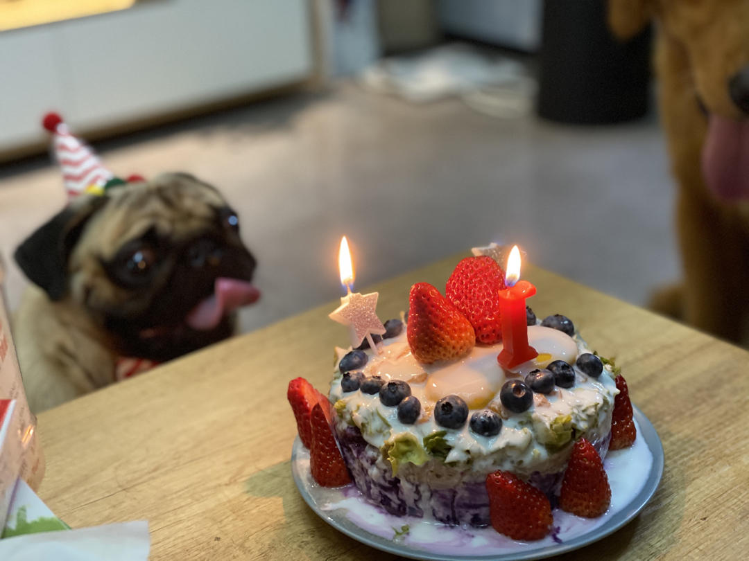 狗狗蛋糕 宠物蛋糕 无谷健康