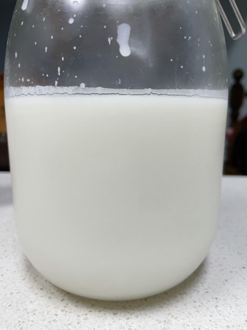 小美熬猪油