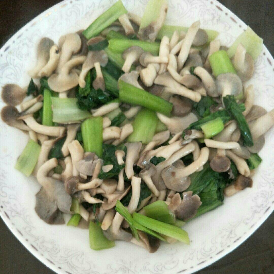清炒蘑菇青菜