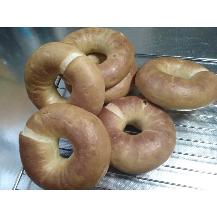 原味贝果（中种法）