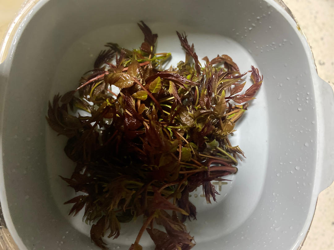 香椿炒蛋超级无敌香