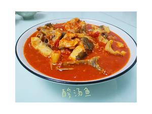 贵州凯里酸汤鱼（家庭快手简易改良版）的做法 步骤10