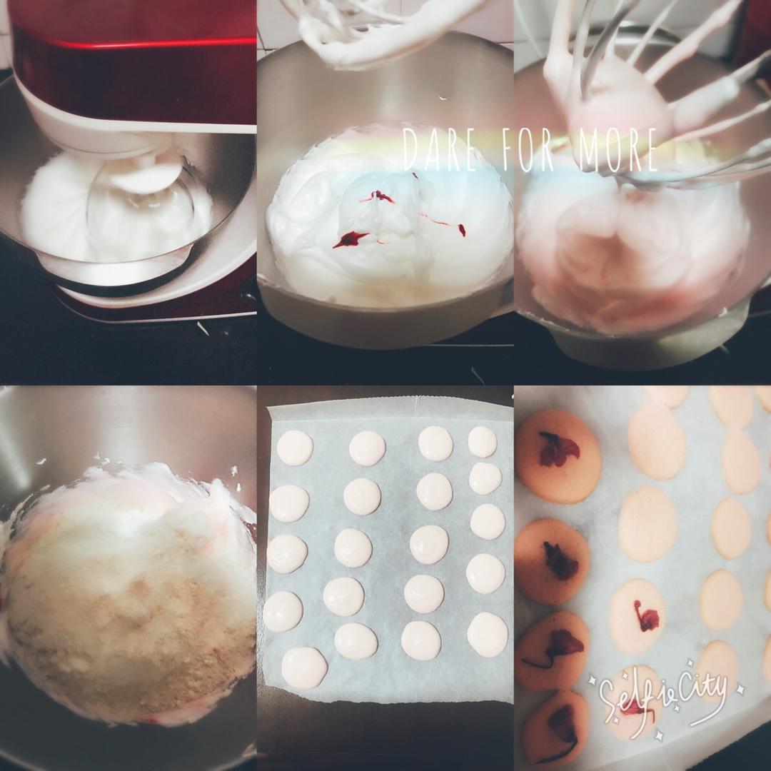 French Macarons 马卡龙