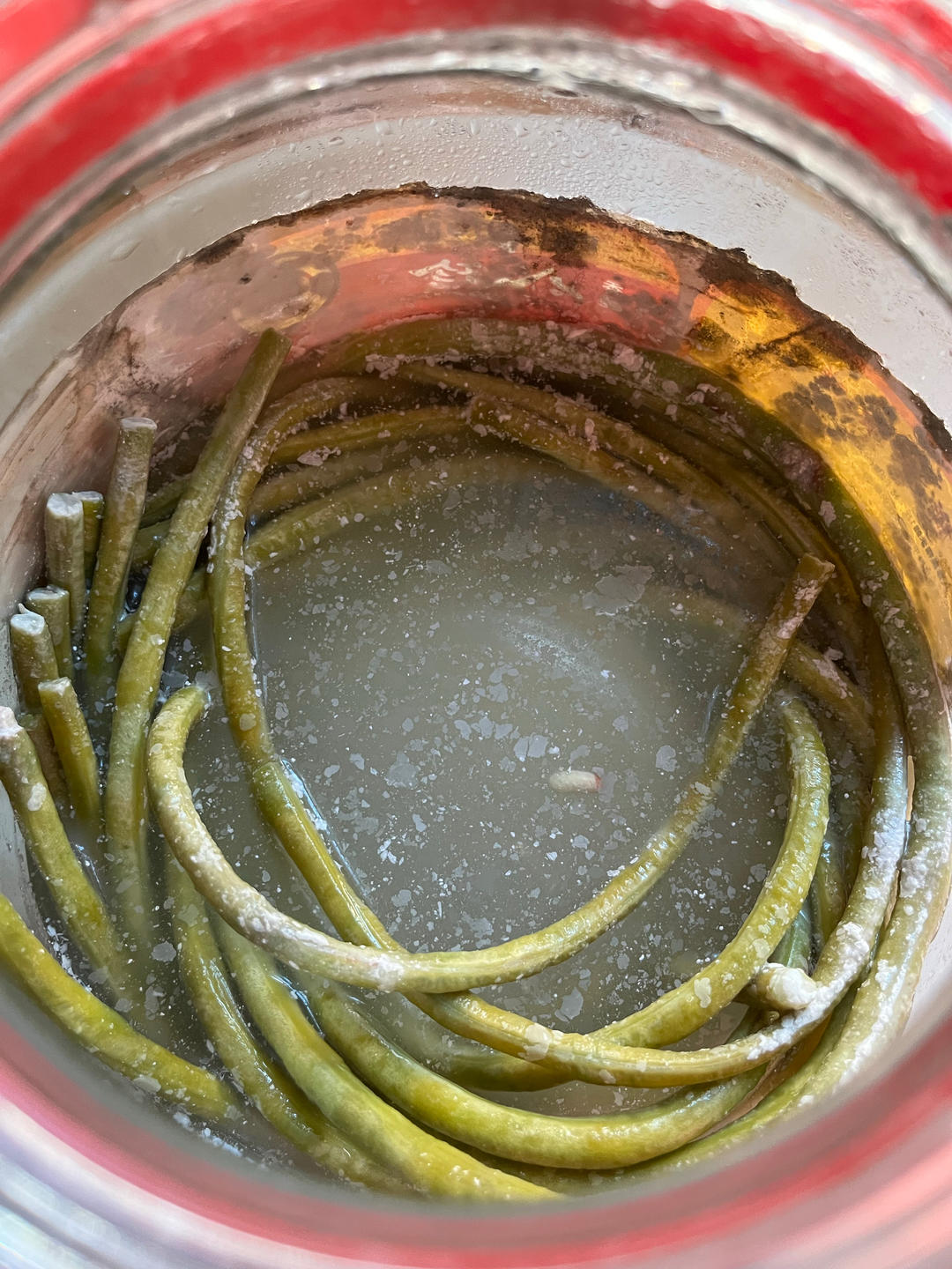 自制酸豆角（史上最简单三天完成）