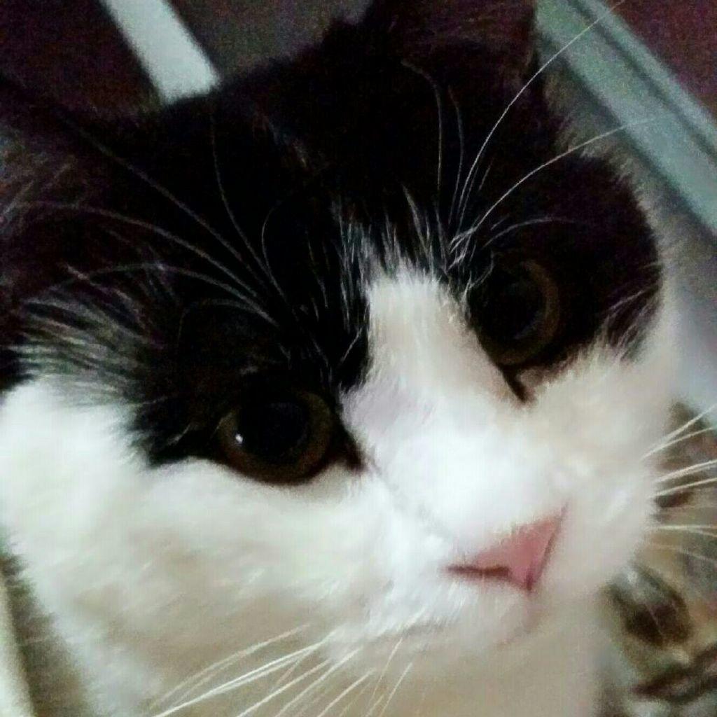 Fiona_李小乐