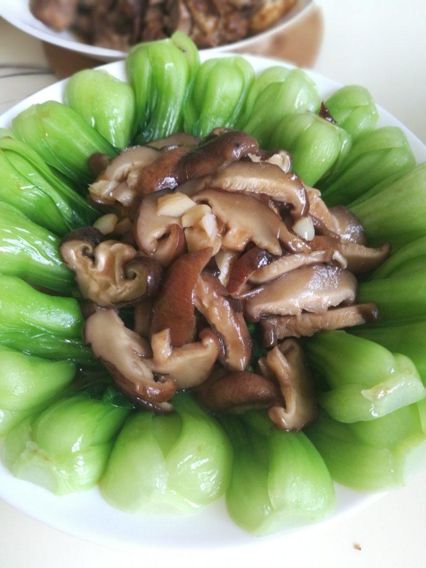 口蘑菜胆