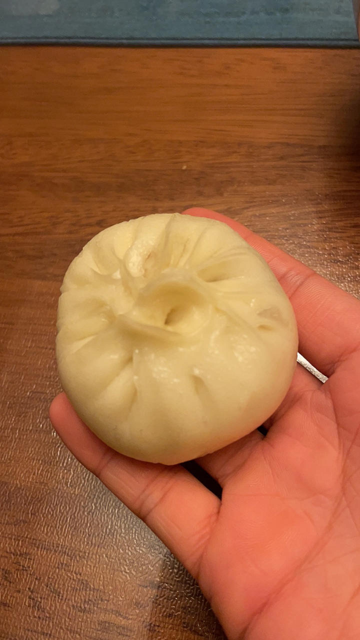 酱肉包子