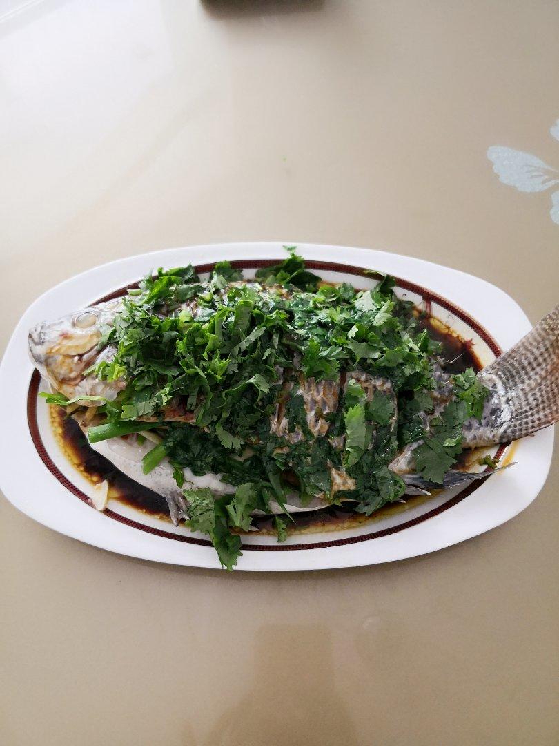 过年餐桌上少不了的菜——清蒸罗非鱼