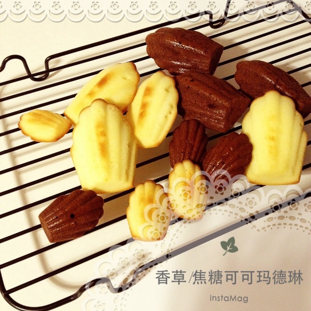 PH香草玛德琳