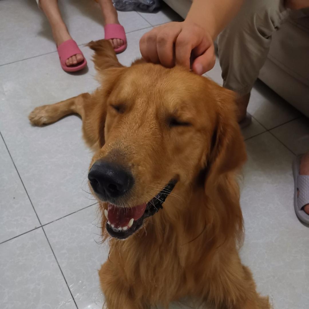 80斤的榴莲飘不起来