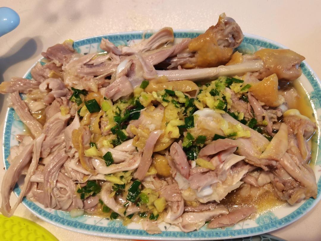 广东姜葱鸡😋味道绝了