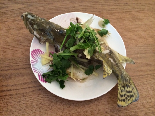 清蒸桂鱼