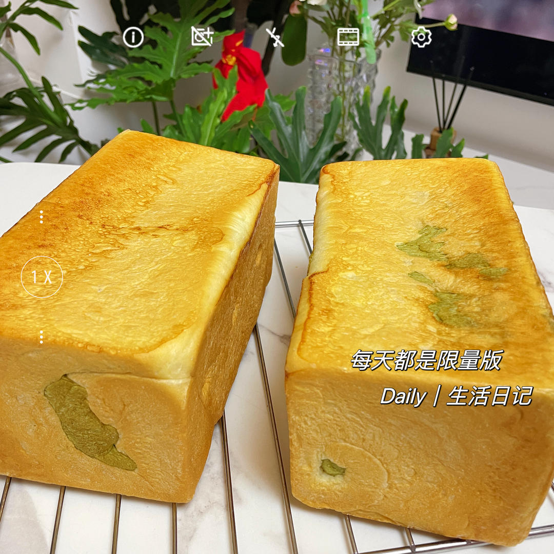 双色吐司