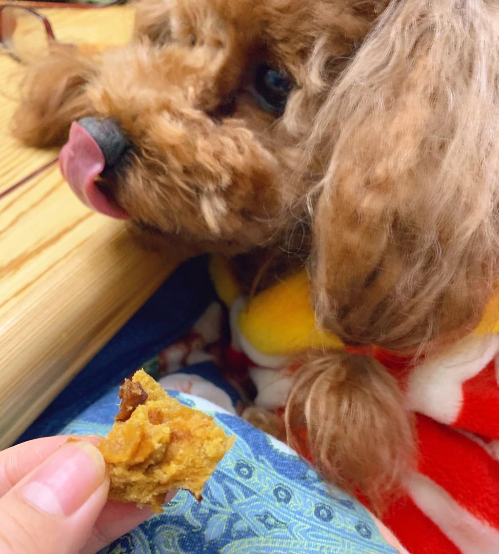 红枣玉米面窝窝头