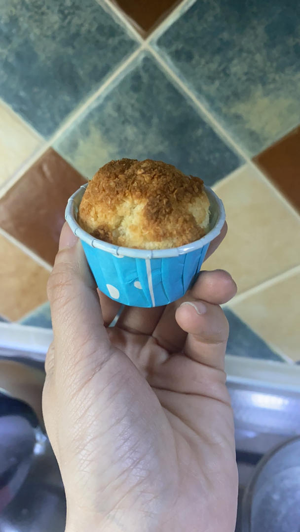 生酮奶油椰蓉球——全家好评真难得净碳水1克