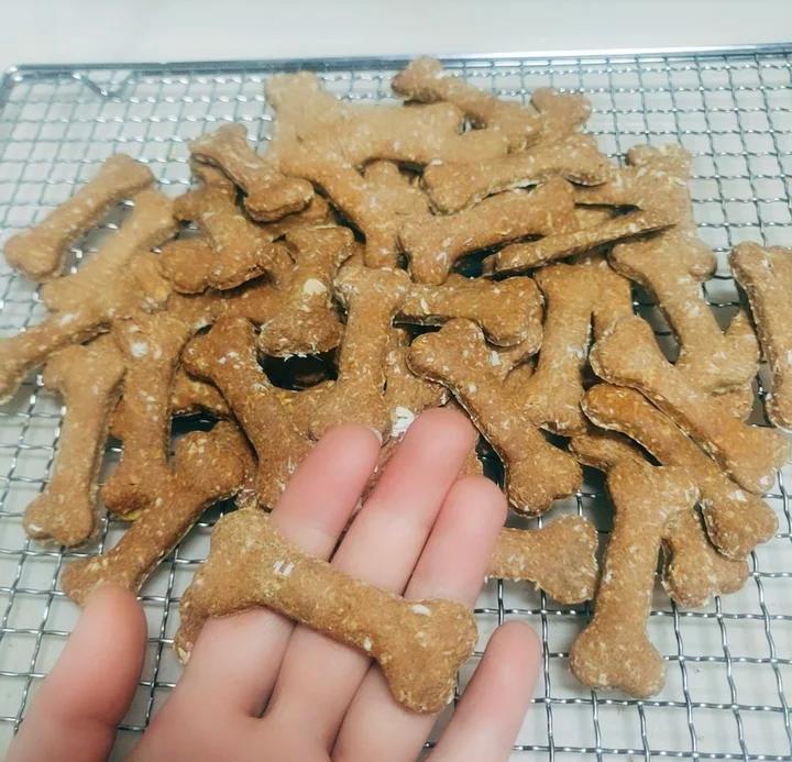狗猫的小零食，狗粮猫粮(对麻团的❤️)饼干