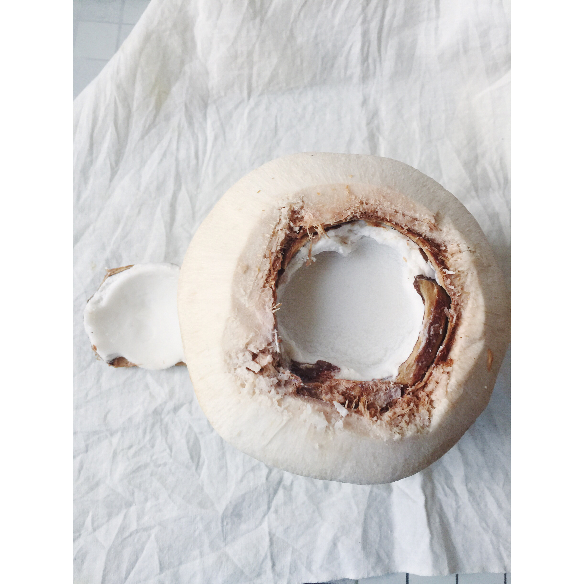 自制纯天然越南椰子冻