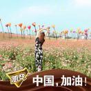 微信用户_馥芮白MMMo