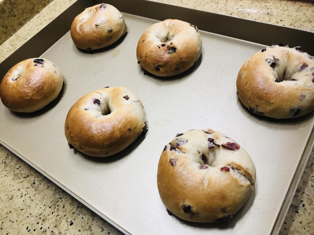 藤田千秋的蔓越莓白巧克力贝果