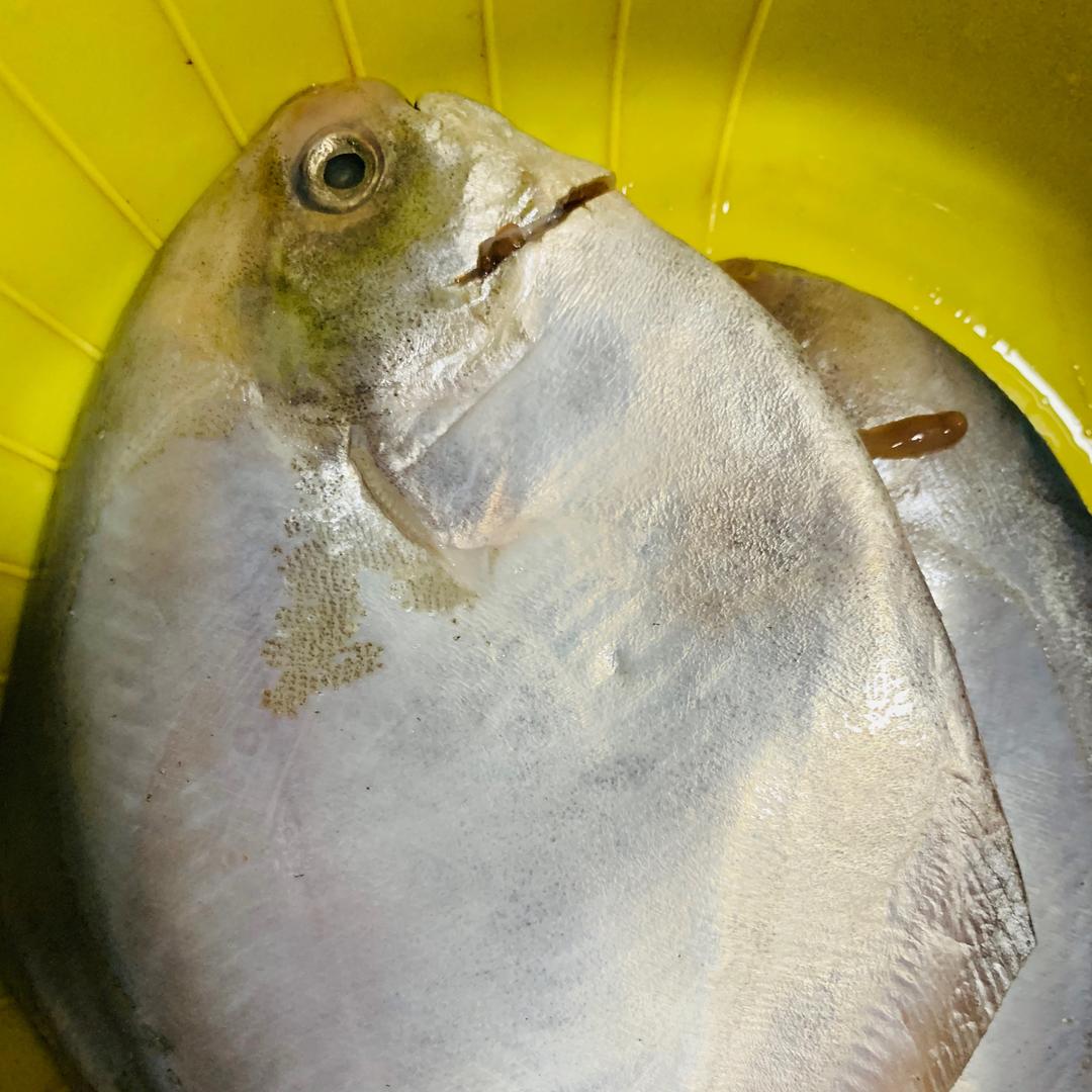 深海白枪鱼,口感清甜,肉嫩把鲍鱼切片或者切花,虾去壳,片肉潮汕海鲜粥