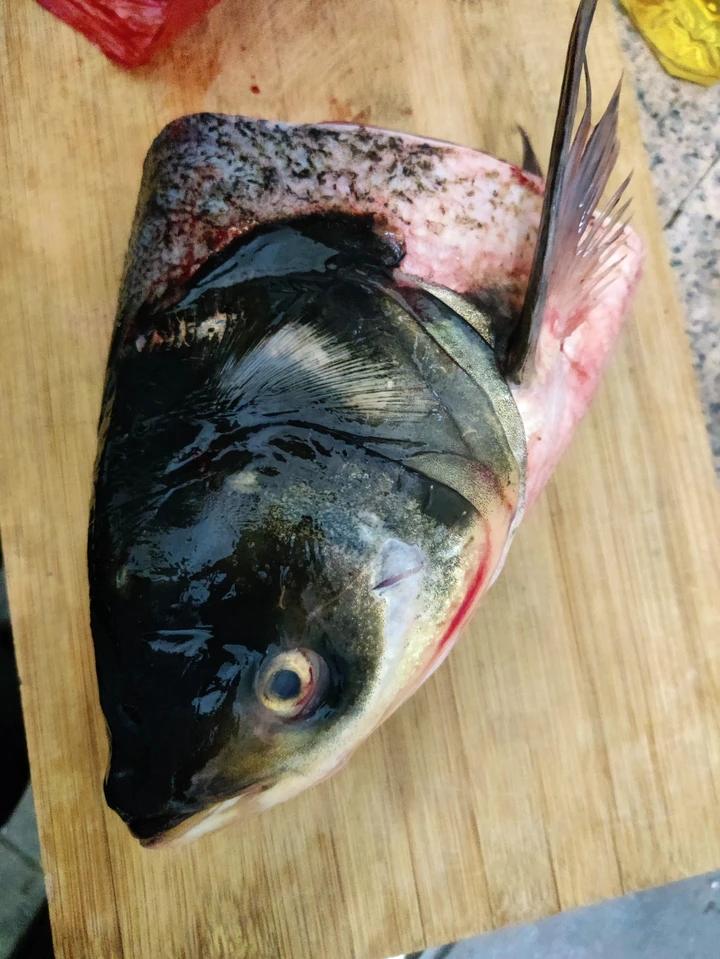 鱼头豆腐汤