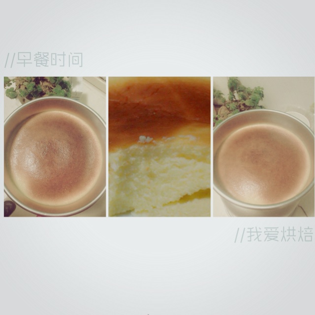 经典重芝士蛋糕