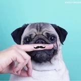 channyyy