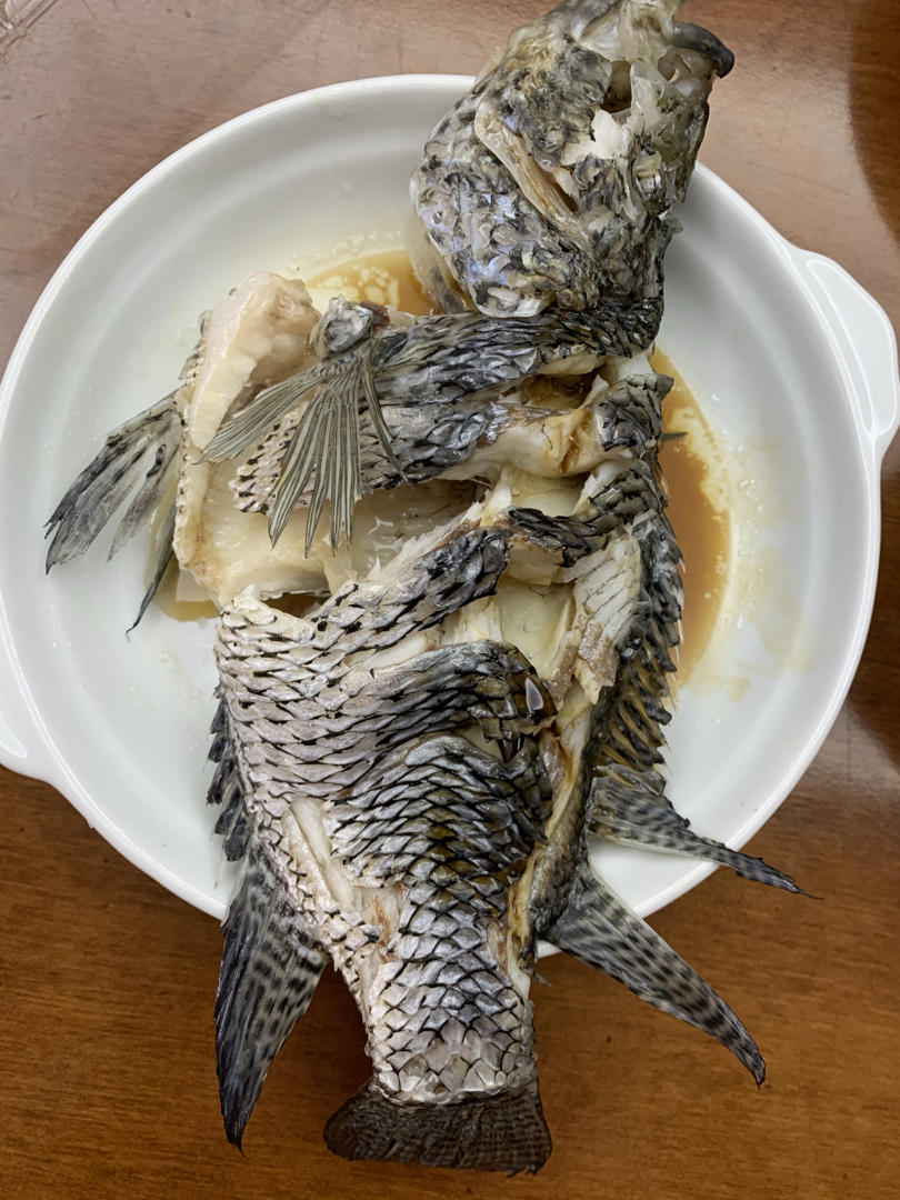 清蒸珍珠斑