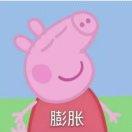 a肉丸子