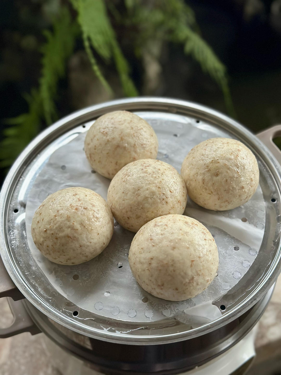 鲁邦种馒头（粗细&风味可调）