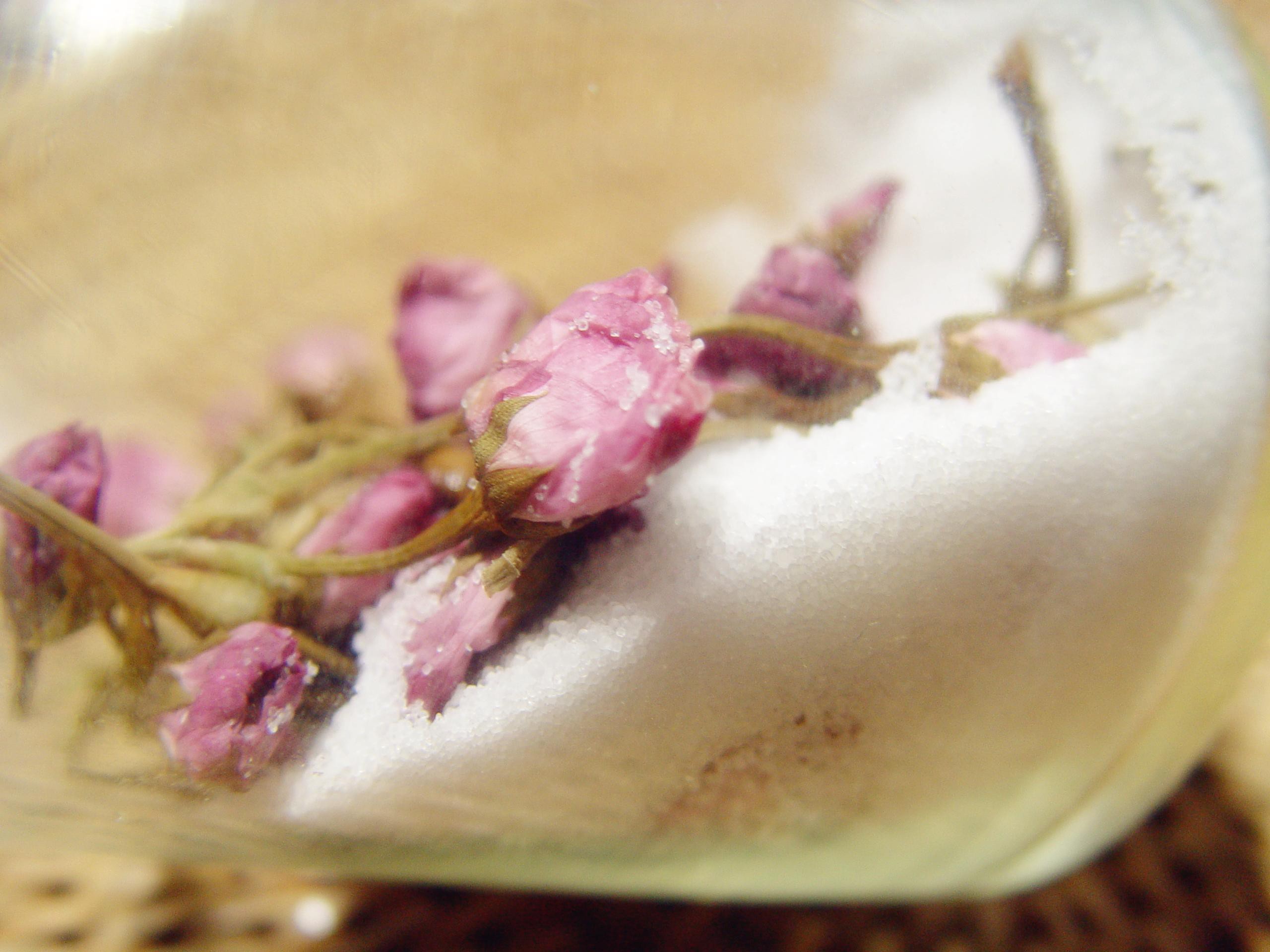 盐渍樱花、樱花蜜、樱饼