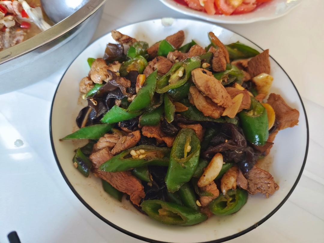 火遍湖南费大厨辣椒炒肉超下饭青椒木耳炒肉