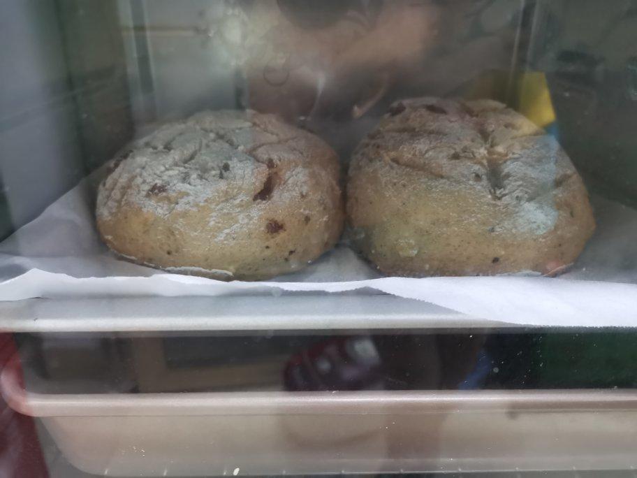 蔓越莓软欧包（揉面简单，橄榄油替代黄油更健康）