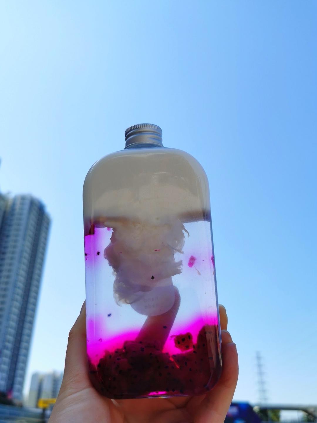 网红水果奶冻茶