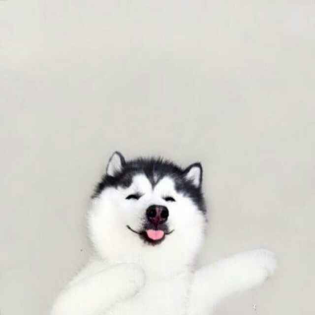 手机用户0164_g83l