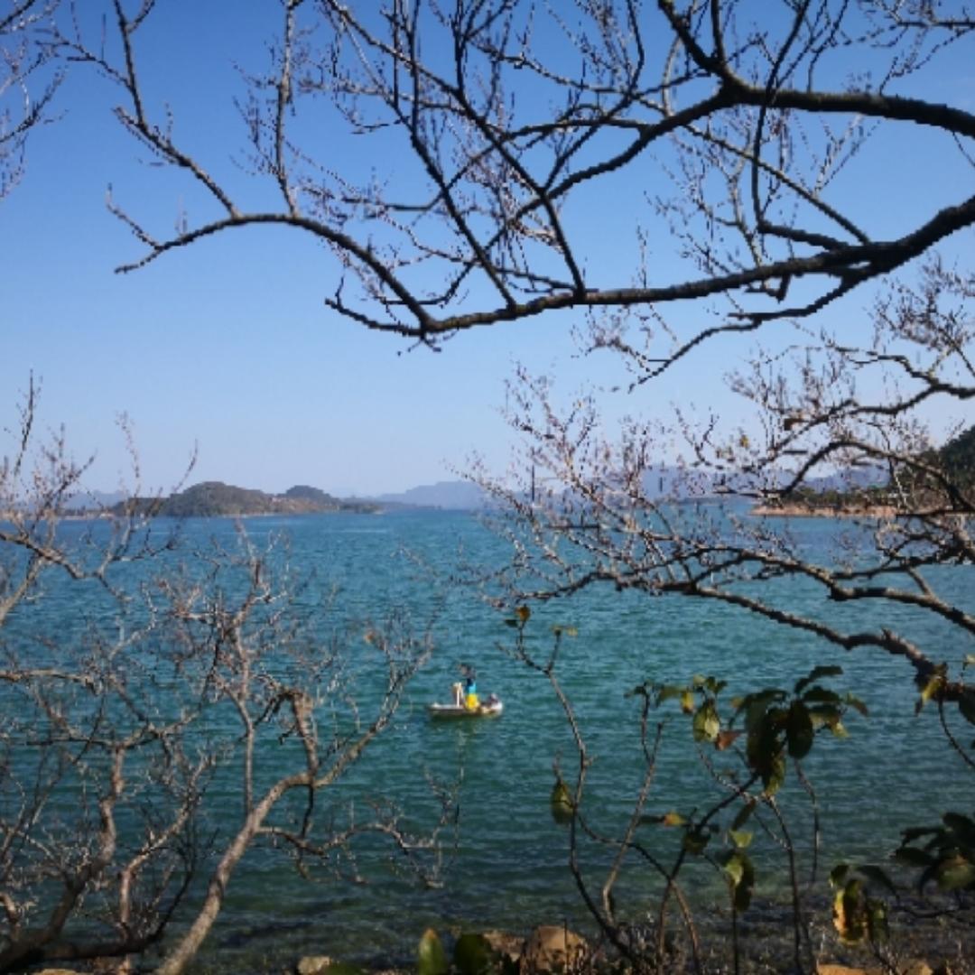 想吃不胖的Hilary