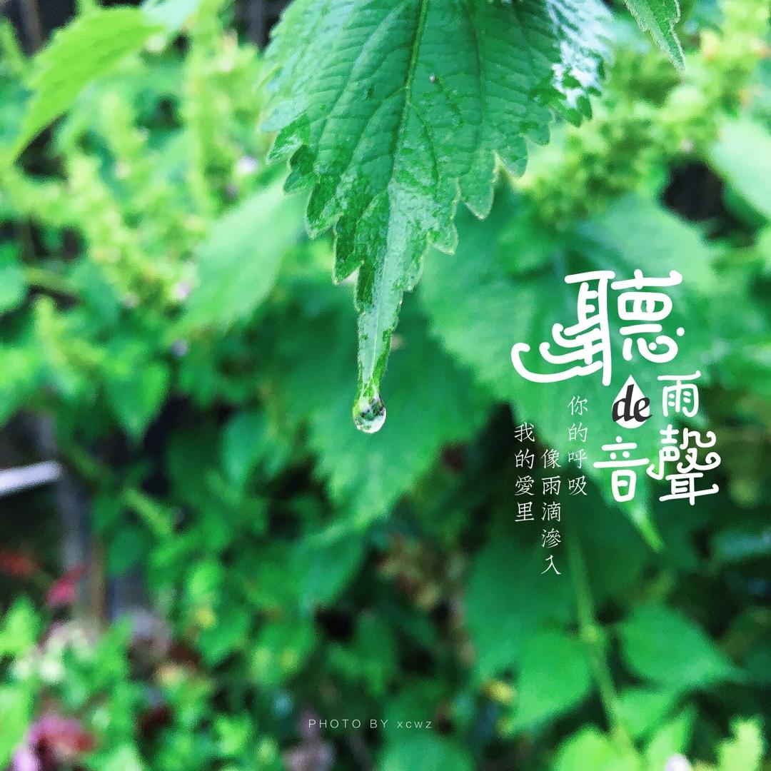 厨娘的花样show