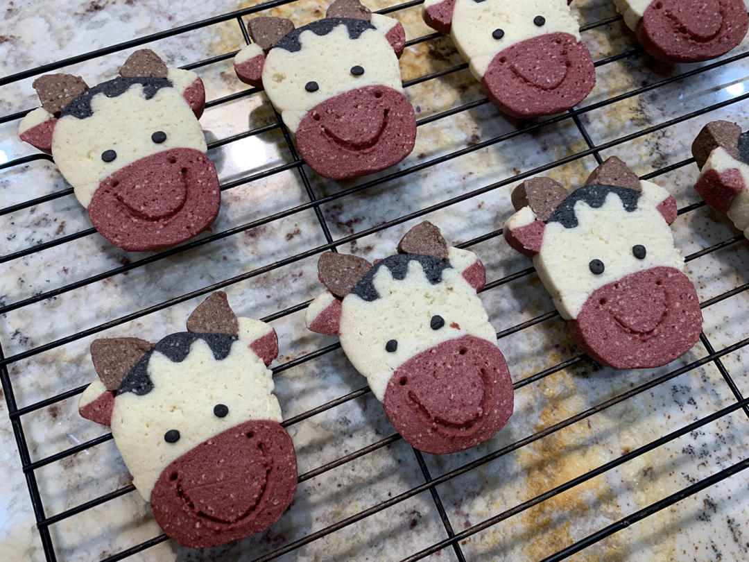 刀切式黄油牛牛造型饼干