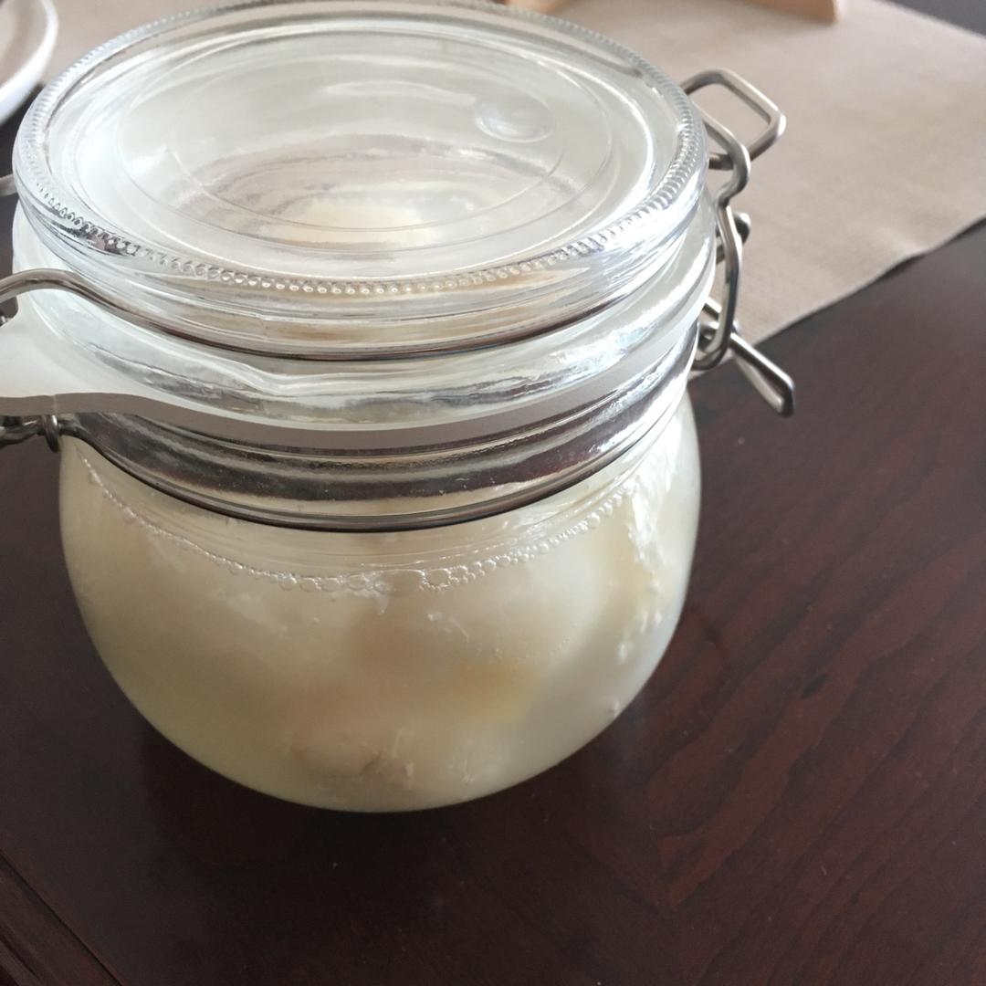 各种各样的天然酵母