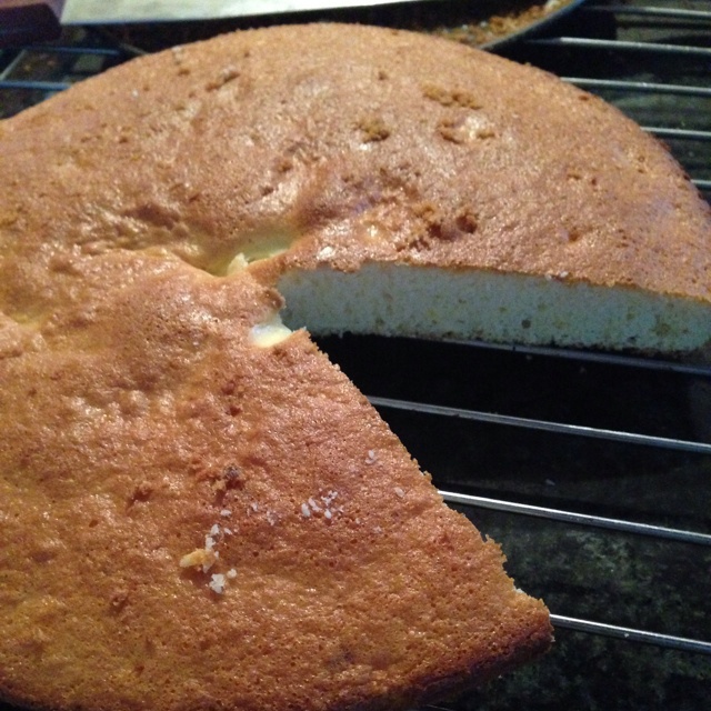 乳酪海绵蛋糕（无油版）