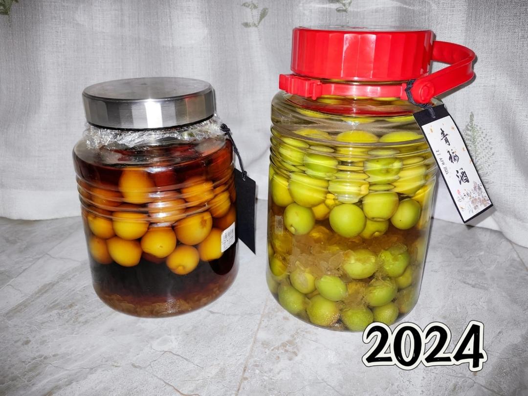 【青梅酒】梅子的沉醉时光（已填坑）