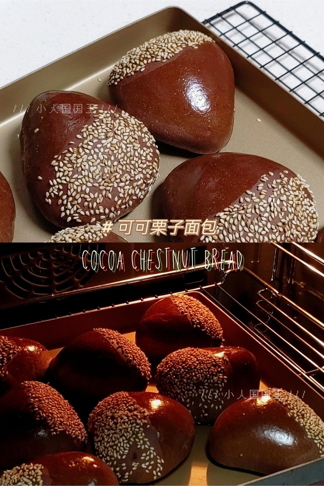 可可板栗面包🌰