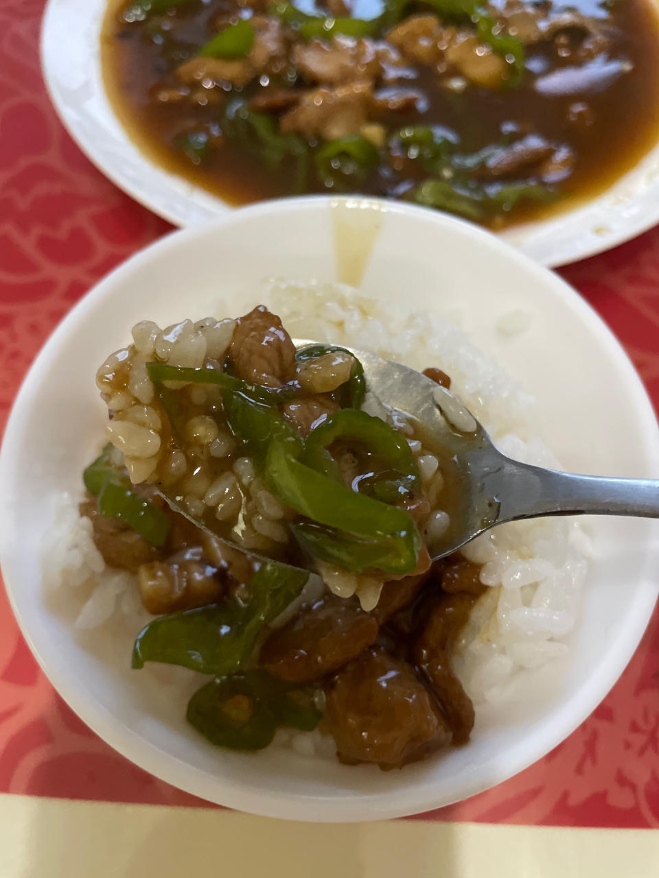 豆角肉丝饭