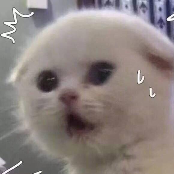 辣辣的厨房