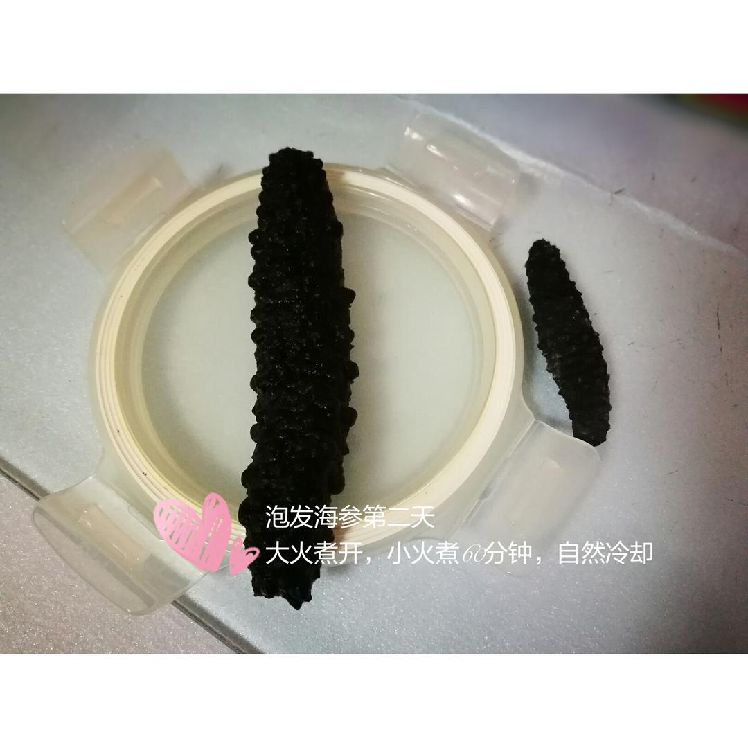 海参泡发攻略