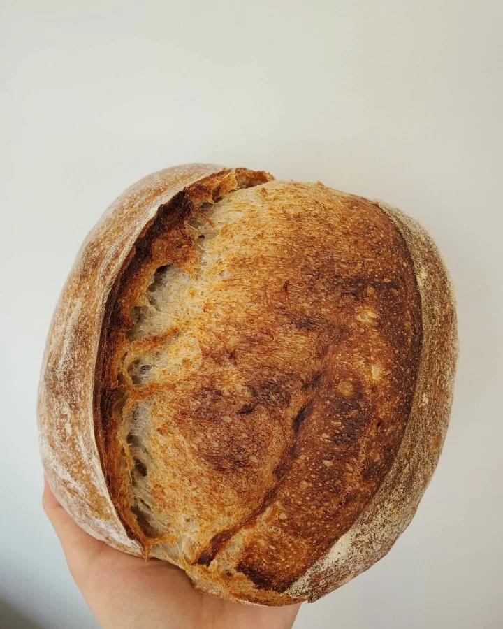 【硬欧笔记】GirlMeetsBread「Sourdough Notebook」